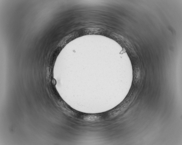 X0000111620759200908281112