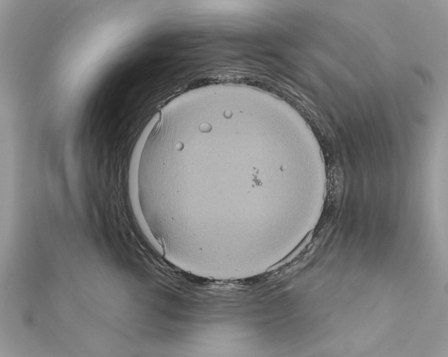 X0000111620762200908281112