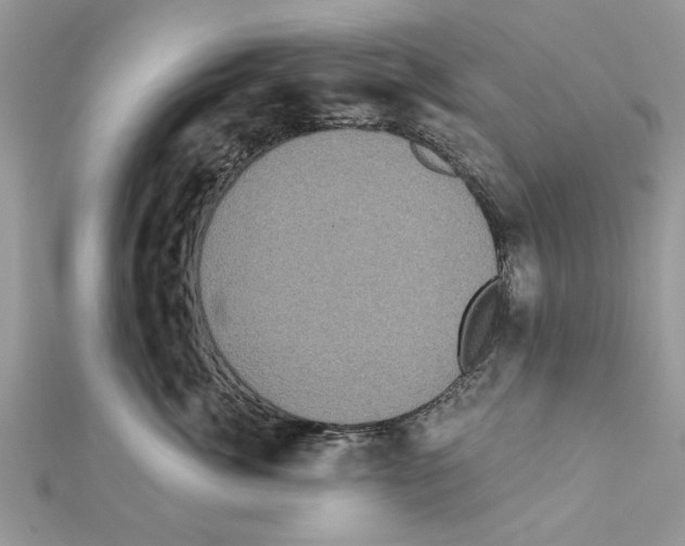 X0000111620764200908281112