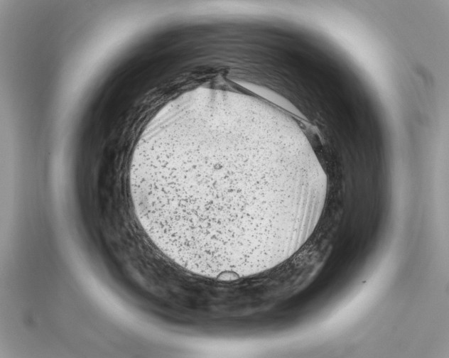 X0000111620766200908281112