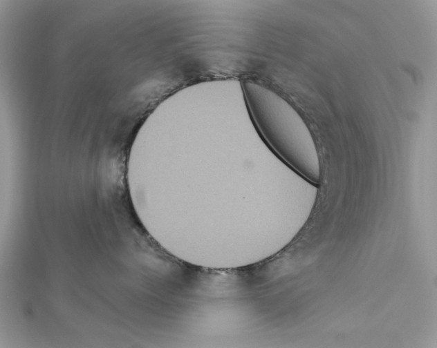 X0000111620768200908281112