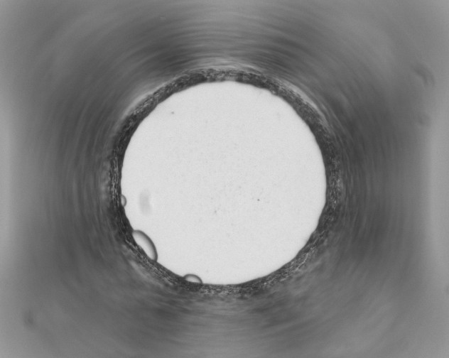 X0000111620775200908281112