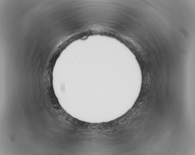 X0000111620776200908281112