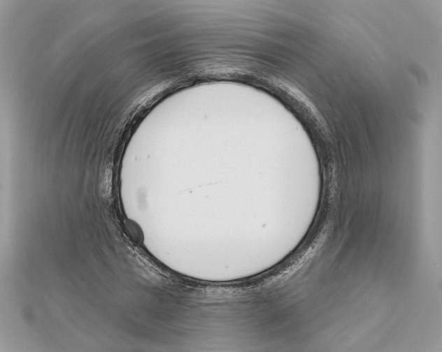 X0000111620777200908281112