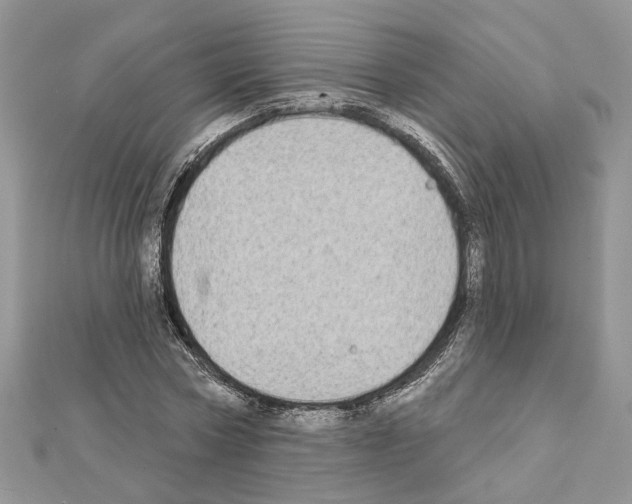 X0000111620778200908281112