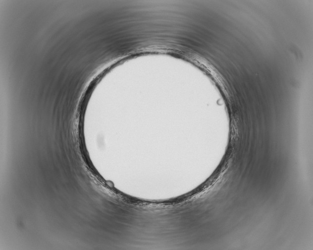 X0000111620779200908281112