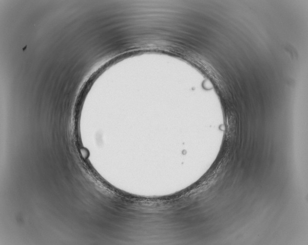 X0000111620780200908281112