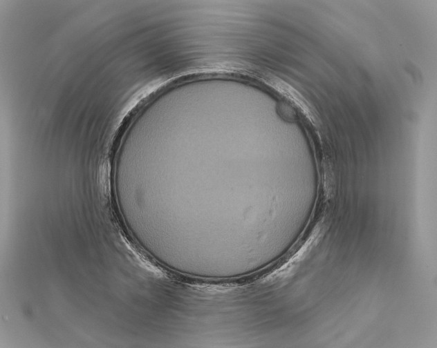 X0000111620781200908281112