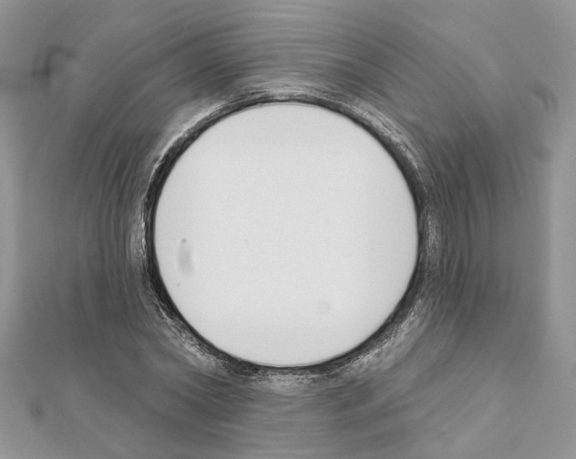 X0000111620782200908281111