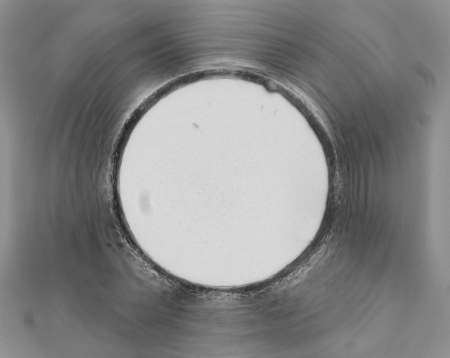 X0000111620783200908281111