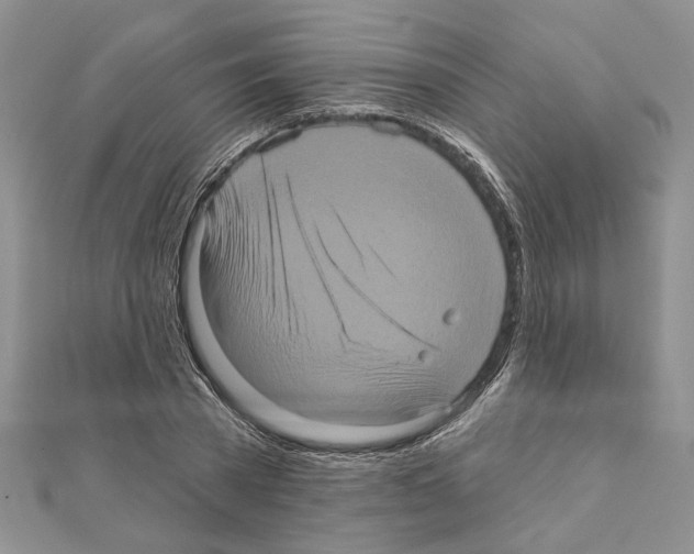 X0000111620785200908281111