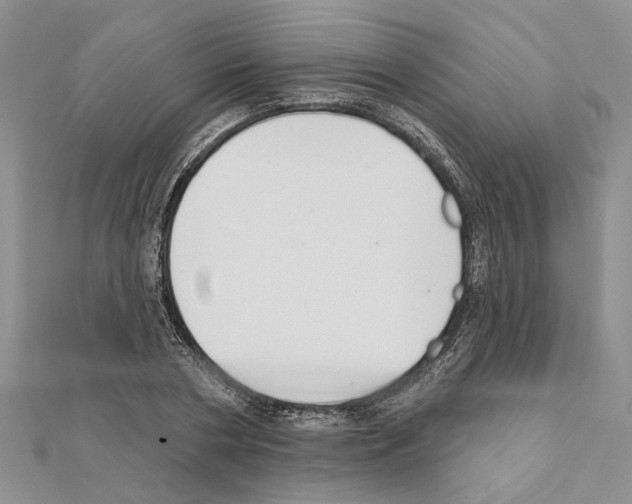 X0000111620786200908281111