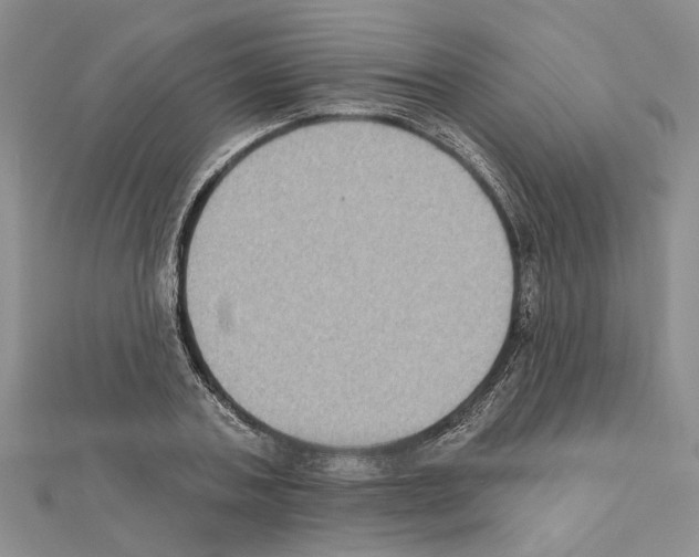 X0000111620787200908281111