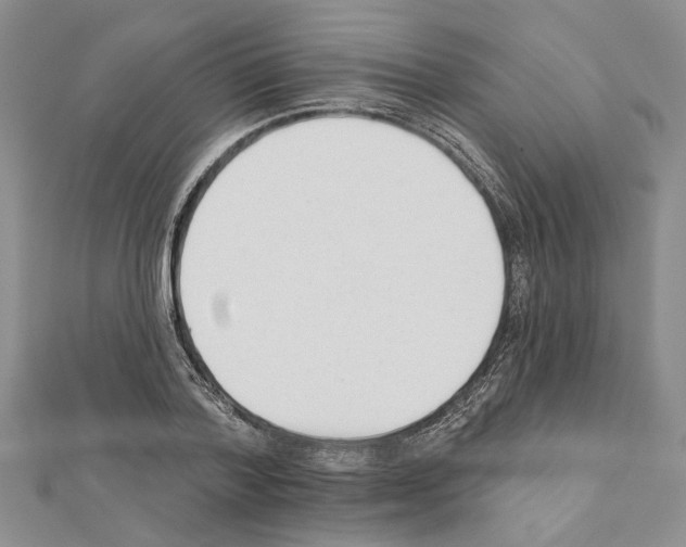 X0000111620788200908281111