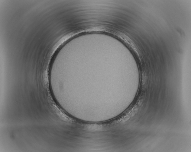 X0000111620789200908281111