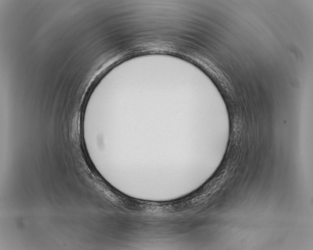 X0000111620790200908281111