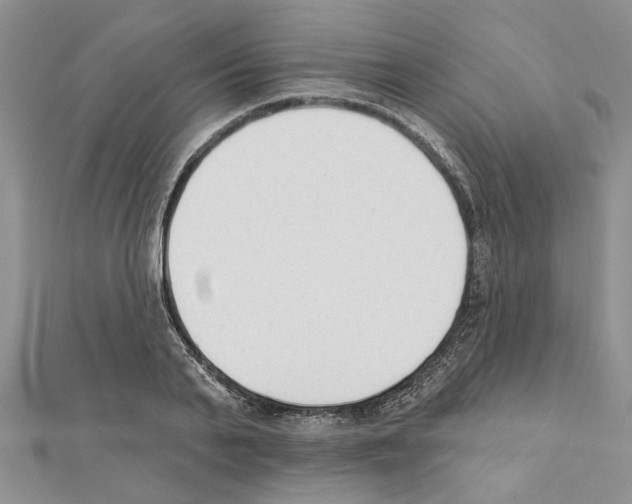 X0000111620791200908281111