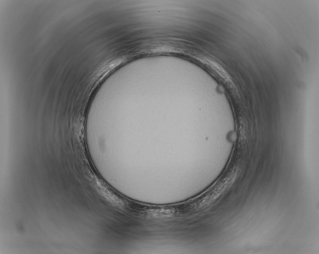 X0000111620793200908281111