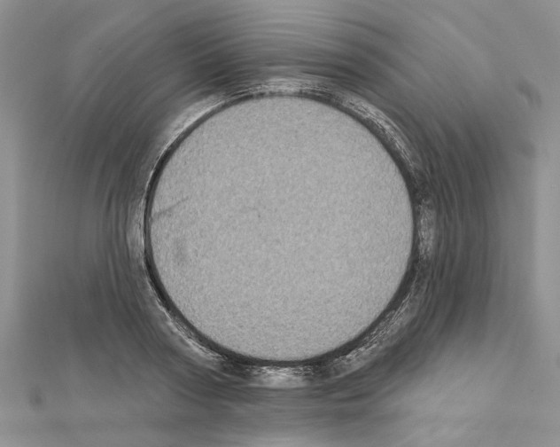 X0000111620794200908281111