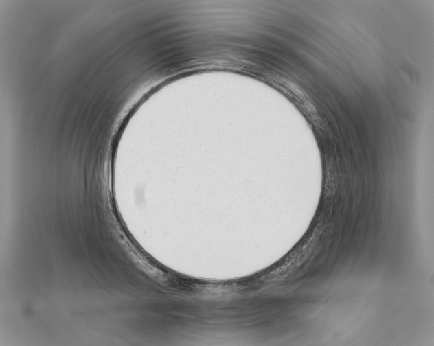 X0000111620796200908281111