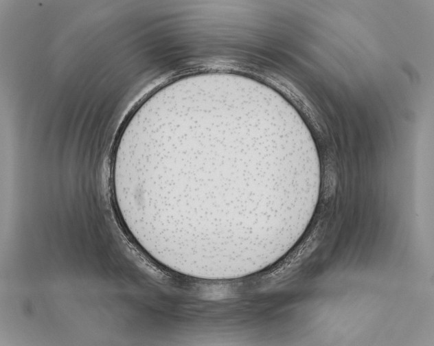 X0000111620798200908281111