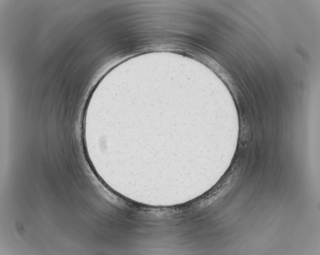 X0000111620803200908281111