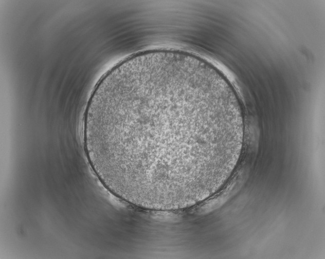 X0000111620807200908281111