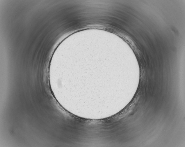 X0000111620808200908281111