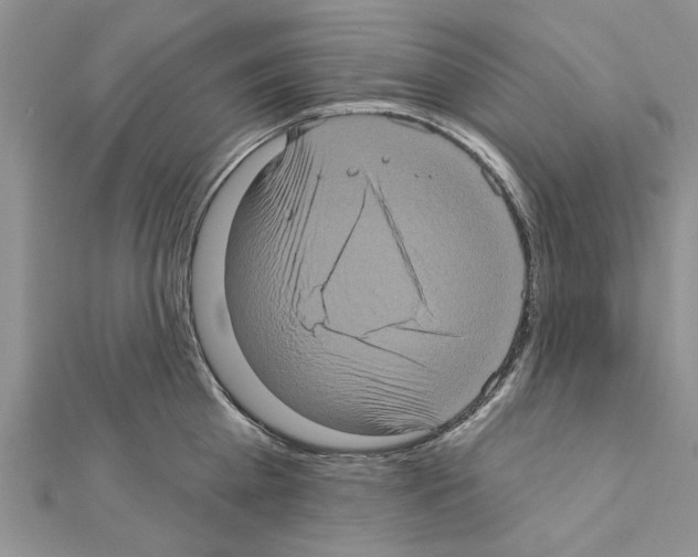 X0000111620809200908281111