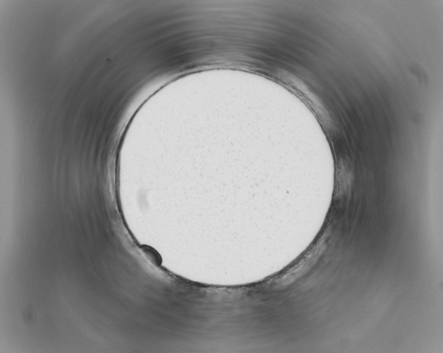 X0000111620812200908281111