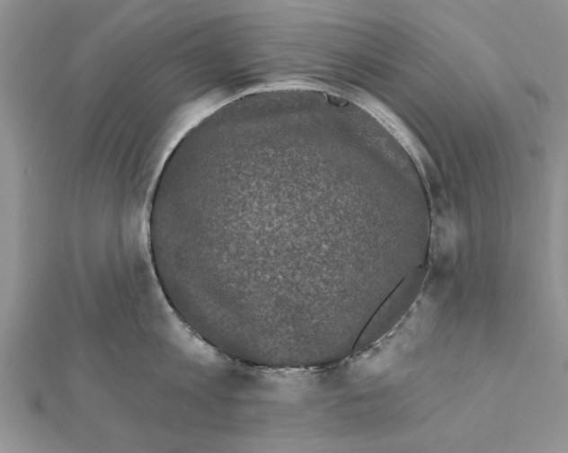 X0000111620813200908281111