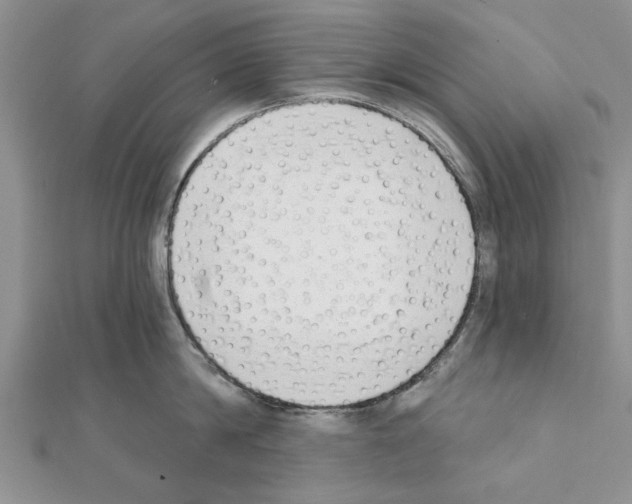 X0000111620814200908281111