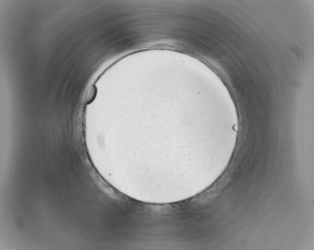 X0000111620816200908281111