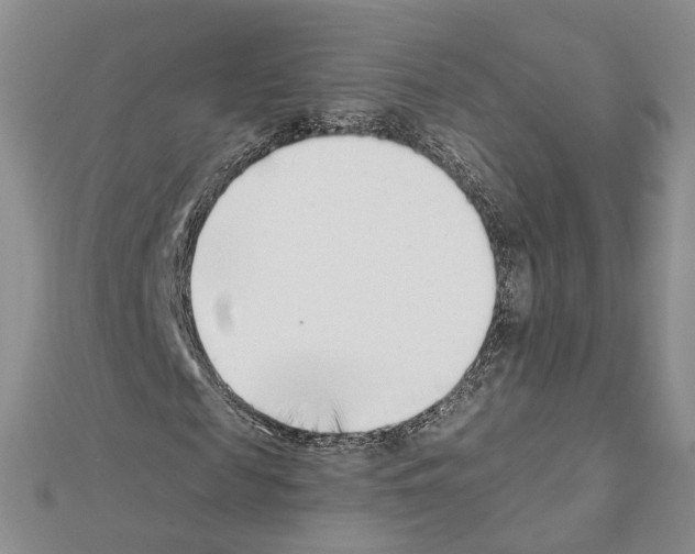 X0000111620817200908281110