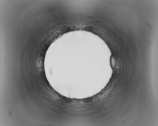 X0000111620818200908281110