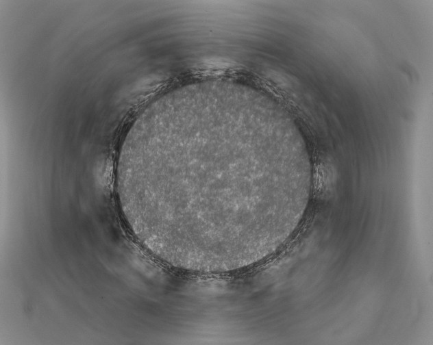 X0000111620820200908281110