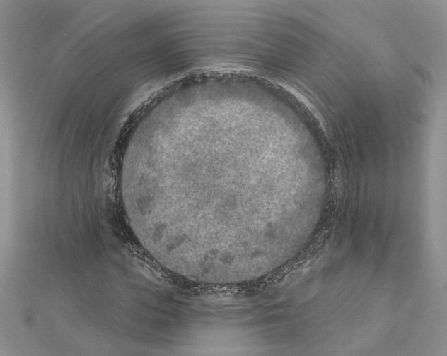 X0000111620823200908281111