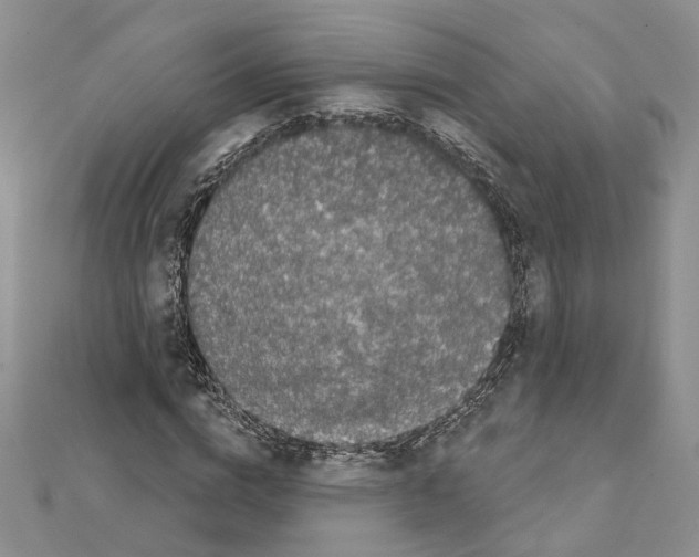 X0000111620824200908281111