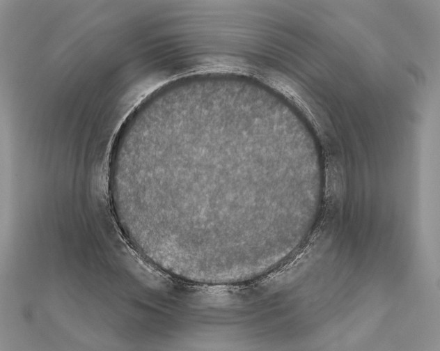 X0000111620828200908281111