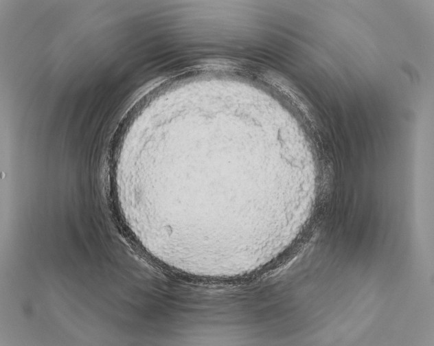 X0000111620829200908281111