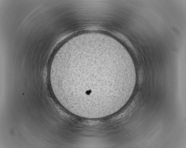 X0000111620831200908281111