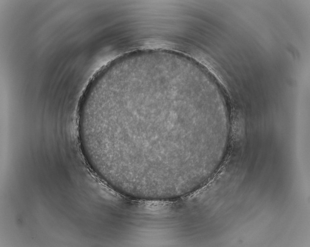 X0000111620832200908281111