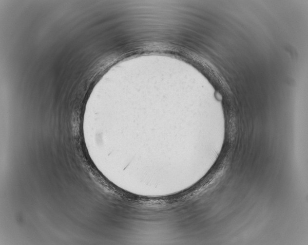 X0000111620833200908281111