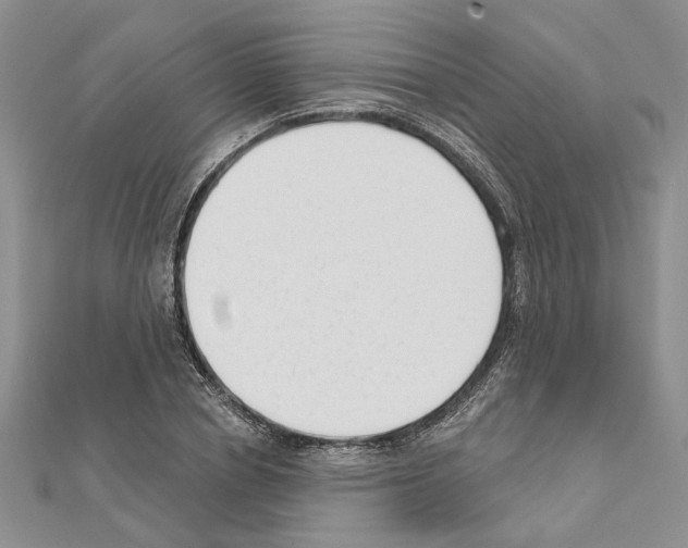 X0000111620834200908281111