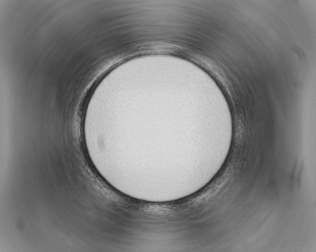 X0000111620835200908281111