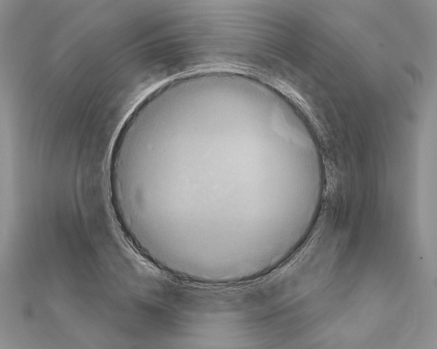 X0000111620836200908281111