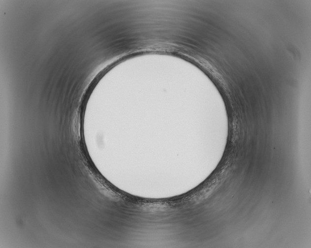 X0000111620838200908281111