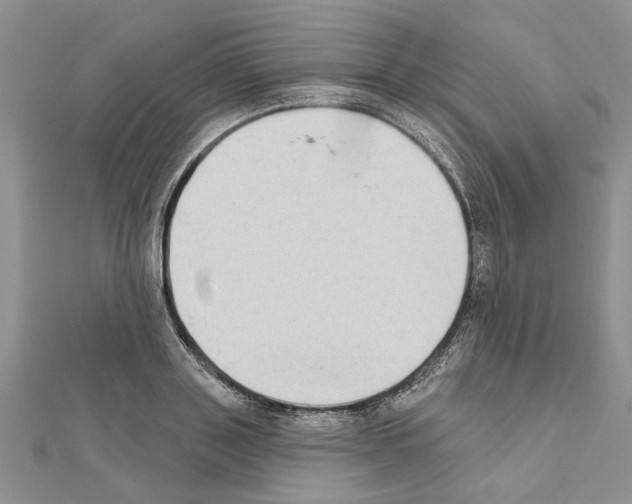 X0000111620843200908281111