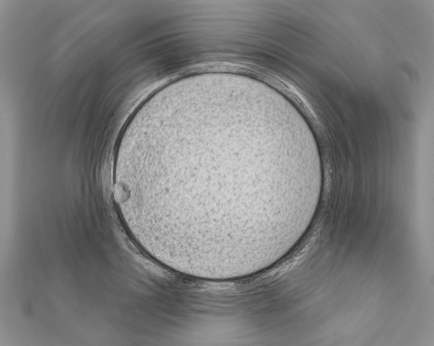 X0000111620844200908281111