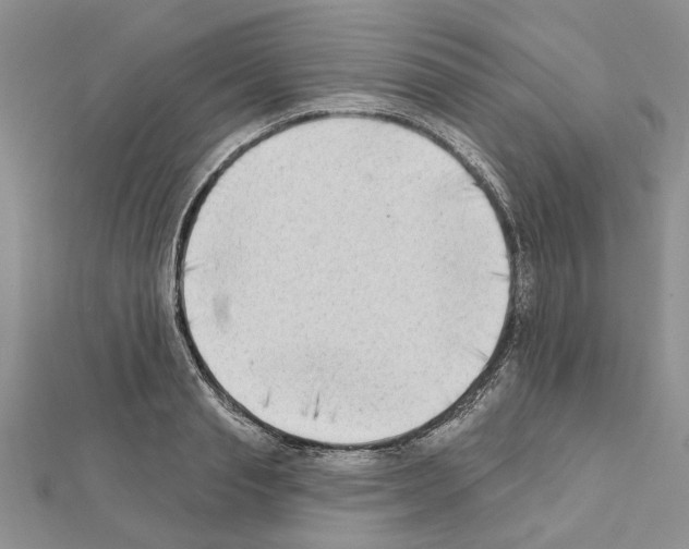 X0000111620845200908281111